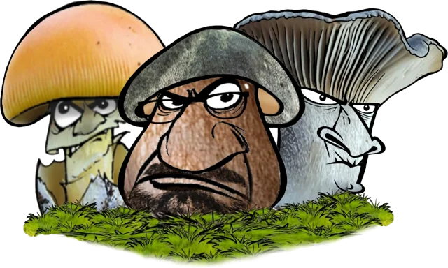 Las mascotas de Setadicción: tres setas gruñonas de dibujo animado